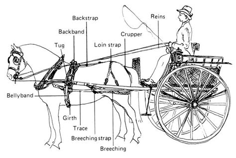 Horse Drawn Wagon Parts Diagram