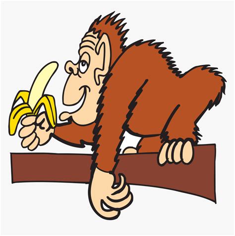 Monkeys Eating Bananas Clipart Png - Monkey Eating Banana Cartoons, Transparent Png - kindpng