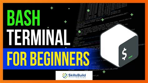 Bash Terminal Course for Beginners | Linux Command Line Tutorial for ...