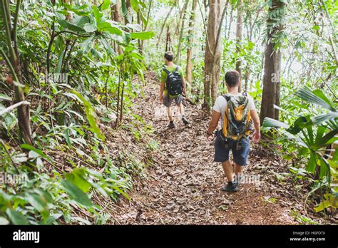 people hiking with backpacks, jungle trekking, group of tourists backpackers walking in the ...