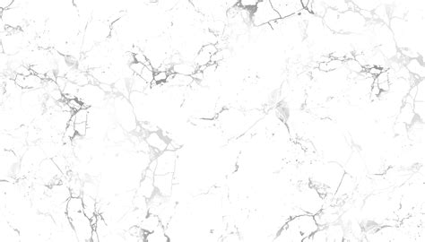 Gray and white marble texture 1427066 Vector Art at Vecteezy
