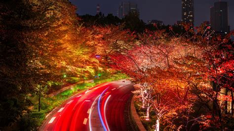 1920x1080 Japan Tokyo Roads Autumn Trees Night Laptop Full HD 1080P ,HD 4k Wallpapers,Images ...