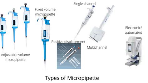 Micropipette: Parts, Types, and Uses • Microbe Online