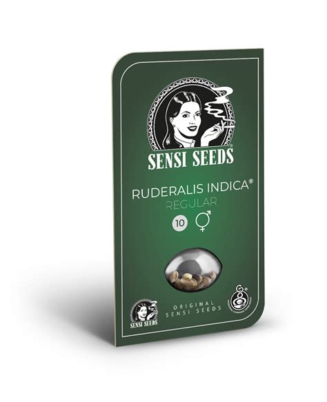 Ruderalis Indica Regular Seeds – Sensi Seeds UK