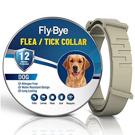 Top 10 Dog Flea Collars of 2022 - Best Reviews Guide