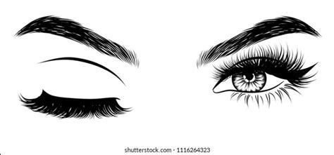 Sexy Winking Luxurious Eye Perfectly Shaped Stock Vector (Royalty Free) 1116264323 | Shutterstock