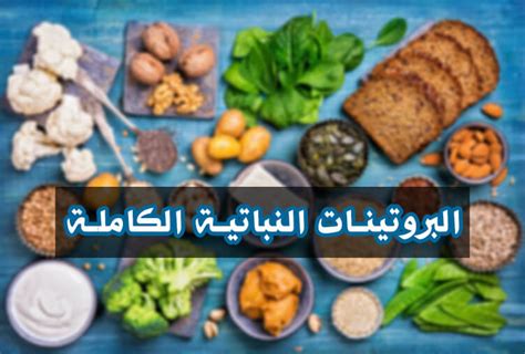 تعرف على البروتينات النباتية الكاملة في النظام الغذائي