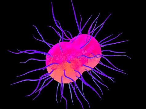 Neisseria gonorrhoeae stock illustration. Illustration of body - 42123519