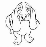 Basset Hound Coloring Pages  Best For Kids sketch template