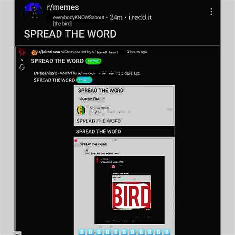 Bird is the word : memes