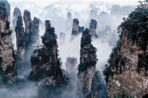 Download Fog Cliff Tree China Landscape Nature Zhangjiajie National Forest Park HD Wallpaper