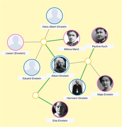 Albert Einstein Family Tree