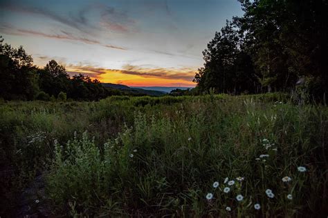 Sunset over a Wild Forest Clearing Photograph by Leah Simcisko | Pixels