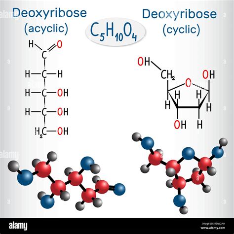 Nucleotide sugar Stock Vector Images - Alamy