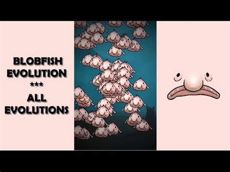 Blobfish Evolution - All Evolutions - YouTube