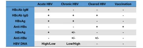 Hepatitis B Serology Test Result Interpretation • Microbe Online