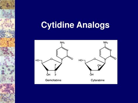 PPT - Introduction to Conventional Chemotherapy PowerPoint Presentation ...