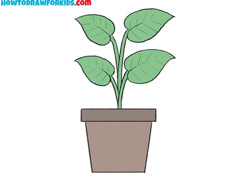 plant drawing for kid - carteretcountyschoolcalendar