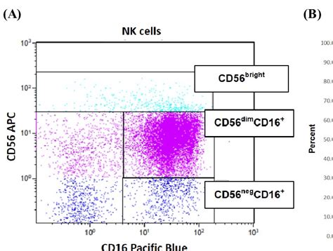 Phenotypic of normal NK cells. Total NK cells were characterized for... | Download Scientific ...