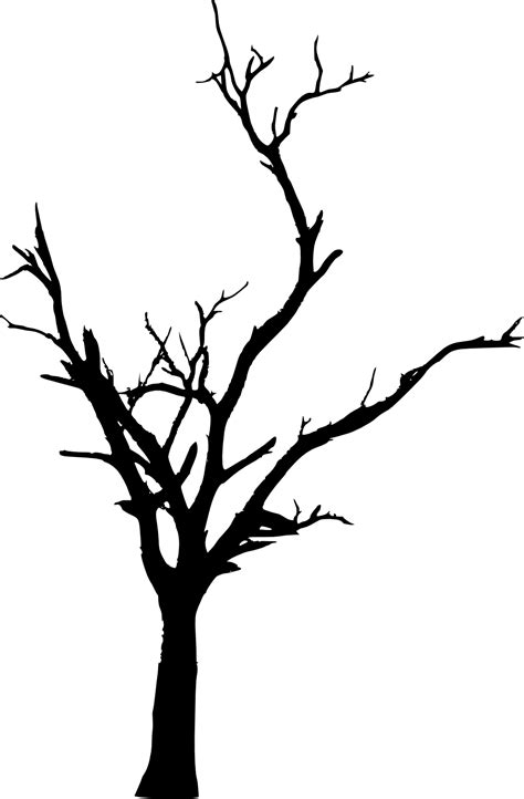 Tree Woody plant Branch Twig Clip art - dead tree png download - 984* ...