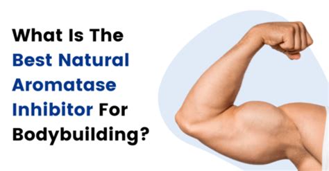 What Is The Best Natural Aromatase Inhibitor For Bodybuilding?