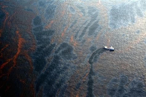 As the Gulf of Mexico Heals from the Deepwater Horizon Oil Spill ...