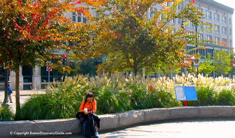 Boston Fall Foliage | Tours | 7 Best Sites in the City