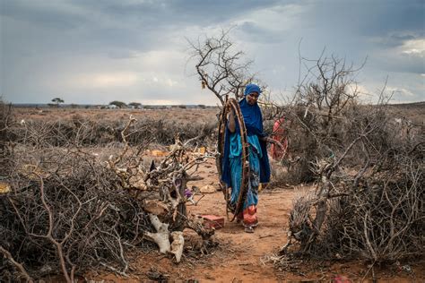 Somalia's Climate for Conflict | The GroundTruth Project - Somalia’s ...