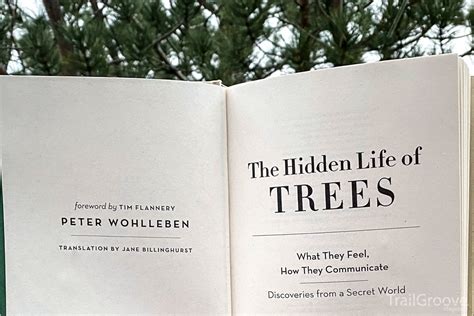 The Hidden Life of Trees Book Review – TrailGroove Blog