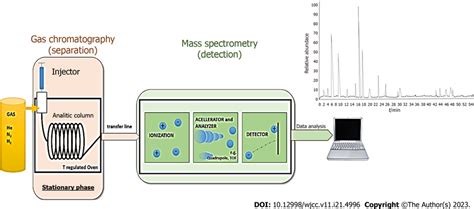 Gas chromatography-mass spectrometry. Combination of gas chromatography ...