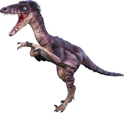 Troodon - Alchetron, The Free Social Encyclopedia