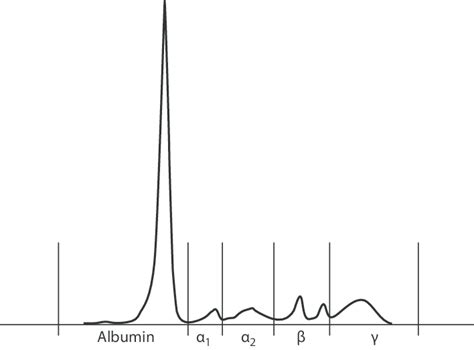 Electropherogram of serum from peripheral venous sample. All ...