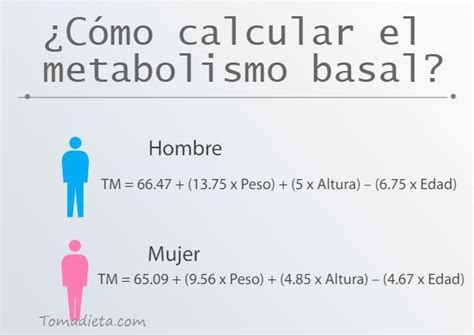 ¿Qué es el Metabolismo Basal? fórmula y cómo calcularlo | Metabolismo ...