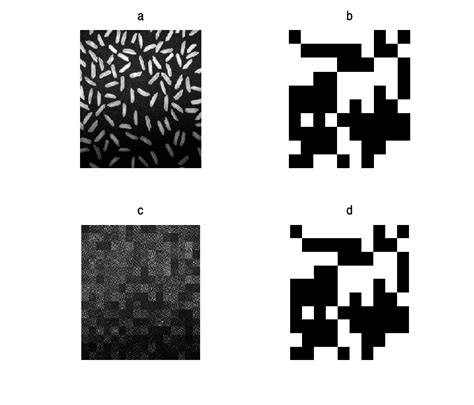 Results showing the validity of the proposed algorithm.The hash of the ...