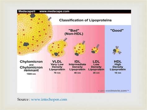 Classes of lipoproteins and their role in the