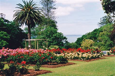 Parnell Rose Gardens - Parnell