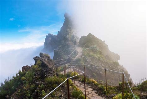 Best Activities for Nature Lovers in Madeira - Europe's Best Destinations