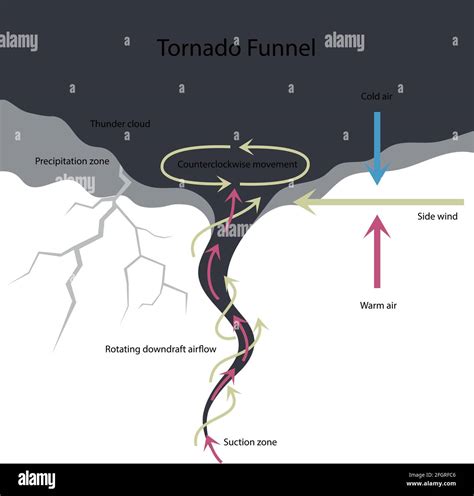 Tornado structure. Vector illustration of tornado formation Stock ...