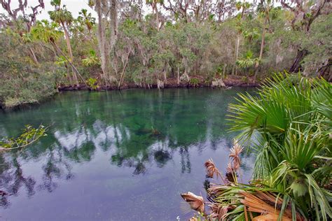 Blue Spring State Park - Florida State Park Near Orlando – Go Guides