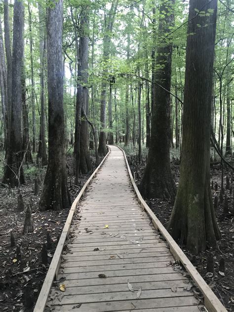 Congaree National Park, South Carolina. : r/hiking