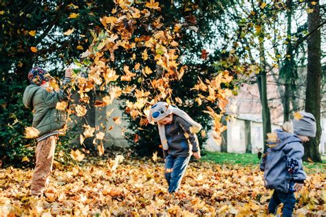 Children Throwing an Autumn Leaves · Free Stock Photo