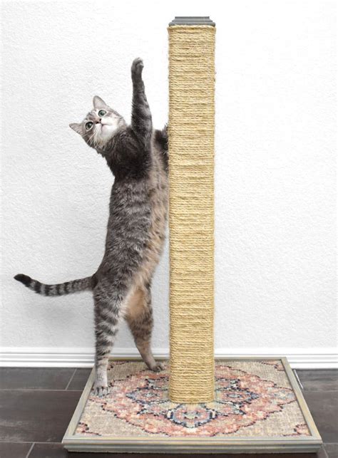 diy-cat-scratching-post-cheap-kitty-scratcher-dreamalittlebigger-32 ⋆ Dream a Little Bigger