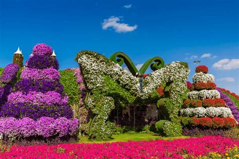 Butterfly Garden In Dubai: Over 553 Royalty-Free Licensable Stock Photos | Shutterstock