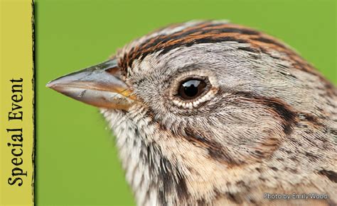 Webinar: Basics of Bird Identification - Door County Land Trust