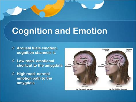 PPT - Motivation, Emotion, and Stress Review PowerPoint Presentation ...