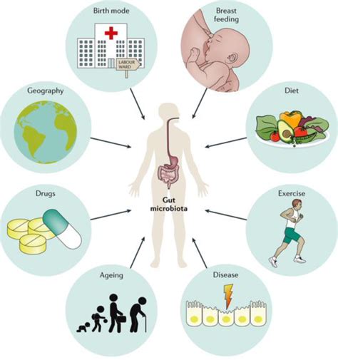 How Your Gut Microbiome Can Affect Your Health - HER'OLOGY