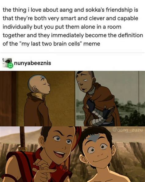 Councilman Sokka on Instagram: “My last two brain cells What do you ...