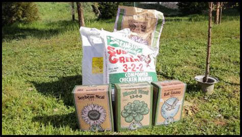 Best Fertilizer For Apple Trees | The Garden