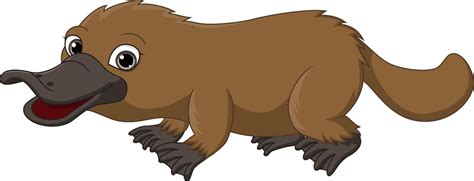 Cartoon happy platypus isolated on white background 5112812 Vector Art at Vecteezy