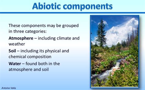 Abiotic components of the environment